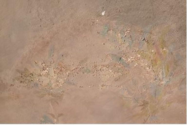 Bóveda de la Sala de Compañía (Casa del Labrador, Aranjuez) — Deterioro de la capa pictórica: disgregación y pulverulencia | El Barco